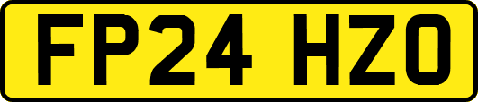 FP24HZO