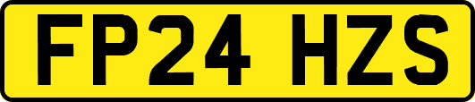 FP24HZS
