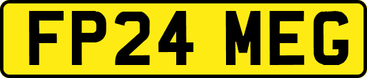 FP24MEG