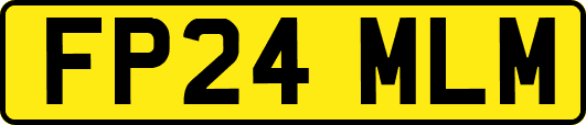 FP24MLM