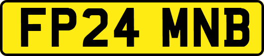 FP24MNB