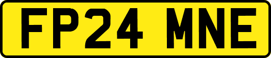 FP24MNE