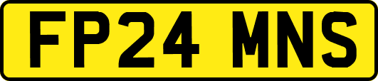 FP24MNS