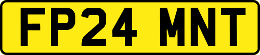 FP24MNT