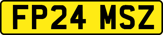 FP24MSZ