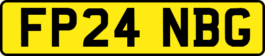 FP24NBG