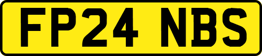 FP24NBS