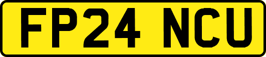 FP24NCU