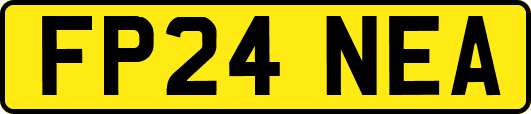 FP24NEA