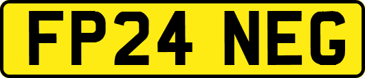FP24NEG