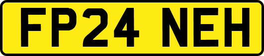 FP24NEH