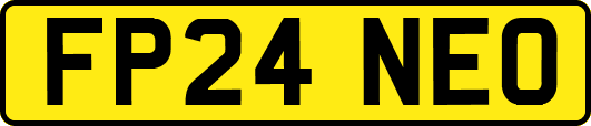 FP24NEO