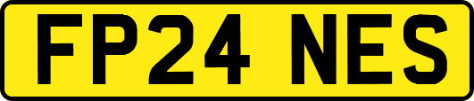 FP24NES
