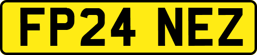FP24NEZ