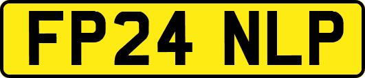 FP24NLP