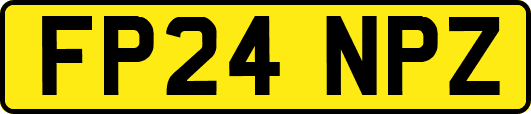 FP24NPZ