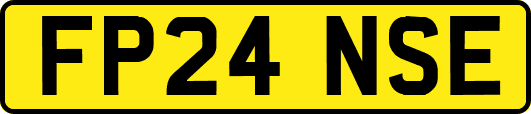 FP24NSE