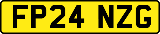 FP24NZG
