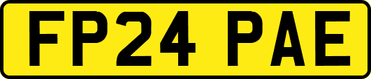 FP24PAE