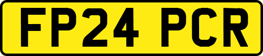 FP24PCR