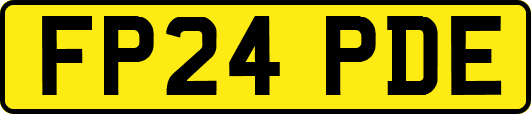 FP24PDE