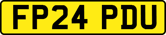 FP24PDU
