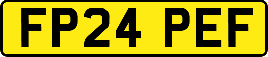 FP24PEF