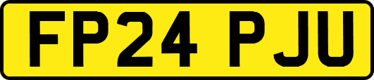 FP24PJU