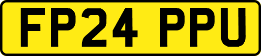 FP24PPU