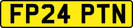 FP24PTN