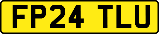 FP24TLU