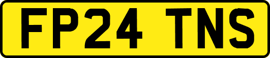 FP24TNS