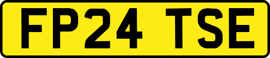 FP24TSE
