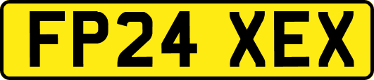 FP24XEX