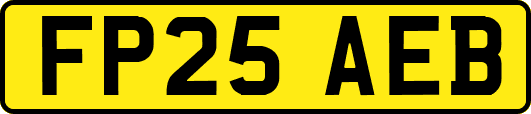 FP25AEB