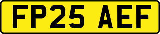 FP25AEF