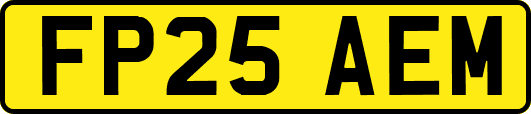 FP25AEM