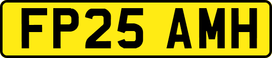 FP25AMH