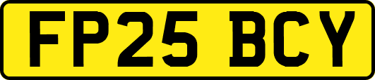 FP25BCY