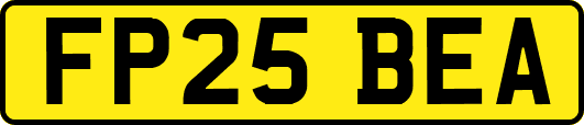 FP25BEA