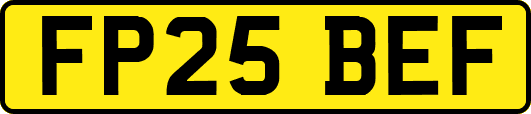 FP25BEF
