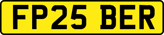 FP25BER