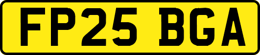 FP25BGA