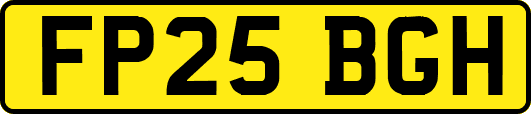 FP25BGH