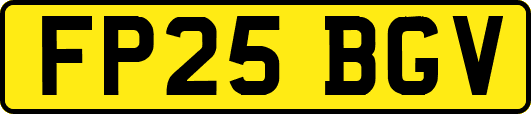 FP25BGV