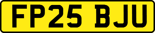FP25BJU