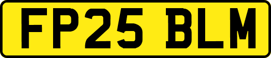FP25BLM