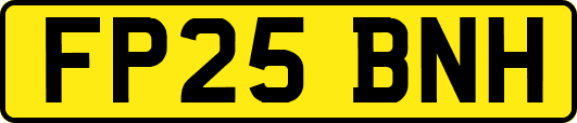 FP25BNH