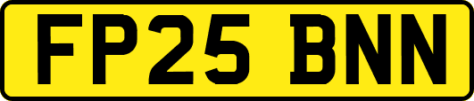 FP25BNN
