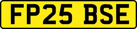 FP25BSE
